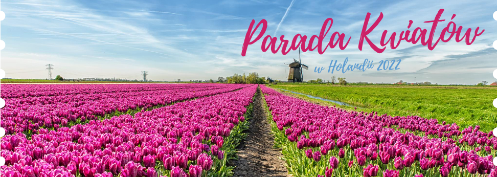  7-dniowa wycieczka objazdowa do Luksemburga, Belgii i Holandii. W programie m.in.: Parada Kwiatów – święto tulipanów w Holandii oraz Ogrody Keukenhof! 