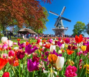 Wycieczka do Amsterdamu + Parada Kwiatów Express 2021