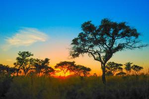 Wycieczka Mozambik i safari w RPA 2020