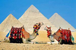 Wypoczynek i Zwiedzanie 2019 Egipt TUTANCHAMON